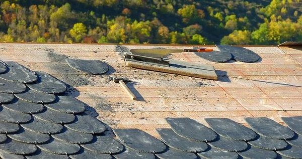 Démoussage professionnel à Lyon : Comment protéger efficacement votre toiture ?